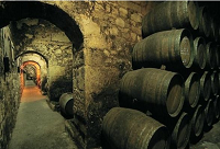 �ƽ���ӛ�����Z�{��΢�����Ѿƌ���(m��ng)�׺�......