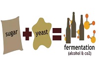 �]�д���17�ȵ����ѾƆ���