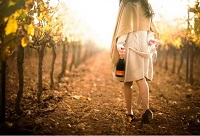 ���Ѿ���һ�����۵İ�H