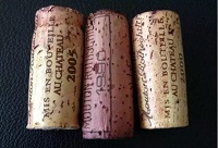 ��ľ�����Է�ƿ��߀��������Щ��