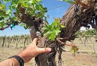 �������Ѿ��ǺþƆ���