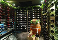 �t�Ʒ�����