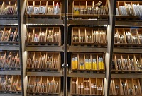 �A͢�ƽѶ��ƺ�غ��ѩ�ѷ�