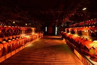 ��ʲô�׾ƾƽѱȰ׾ƾ�ƿ��(ch��)�Ƹ�����