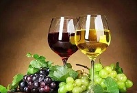 ���ѾƵ�һЩС����