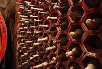 �������L(zh��ng)ë�ˣ��@��߀�ܺȆ���