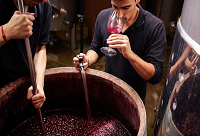 ���ѳ�������������ѾƵ�Σ��!!!