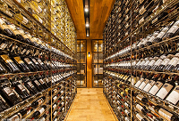 ���(hu��)ϲ�g�㙉ɫϵ�оƽѾƹ�᣿